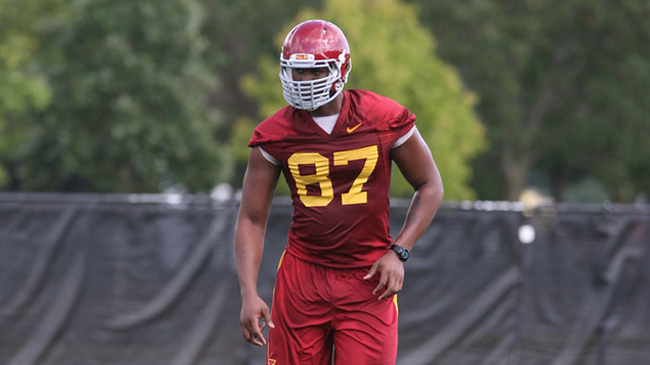 David Irving