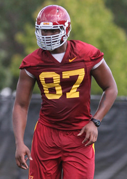 David Irving